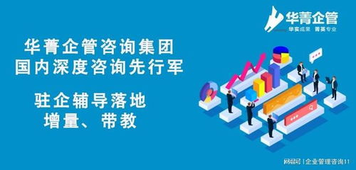 卓越跨境電商企業(yè)的戰(zhàn)略導(dǎo)航者——頂尖咨詢管理機構(gòu)全解析